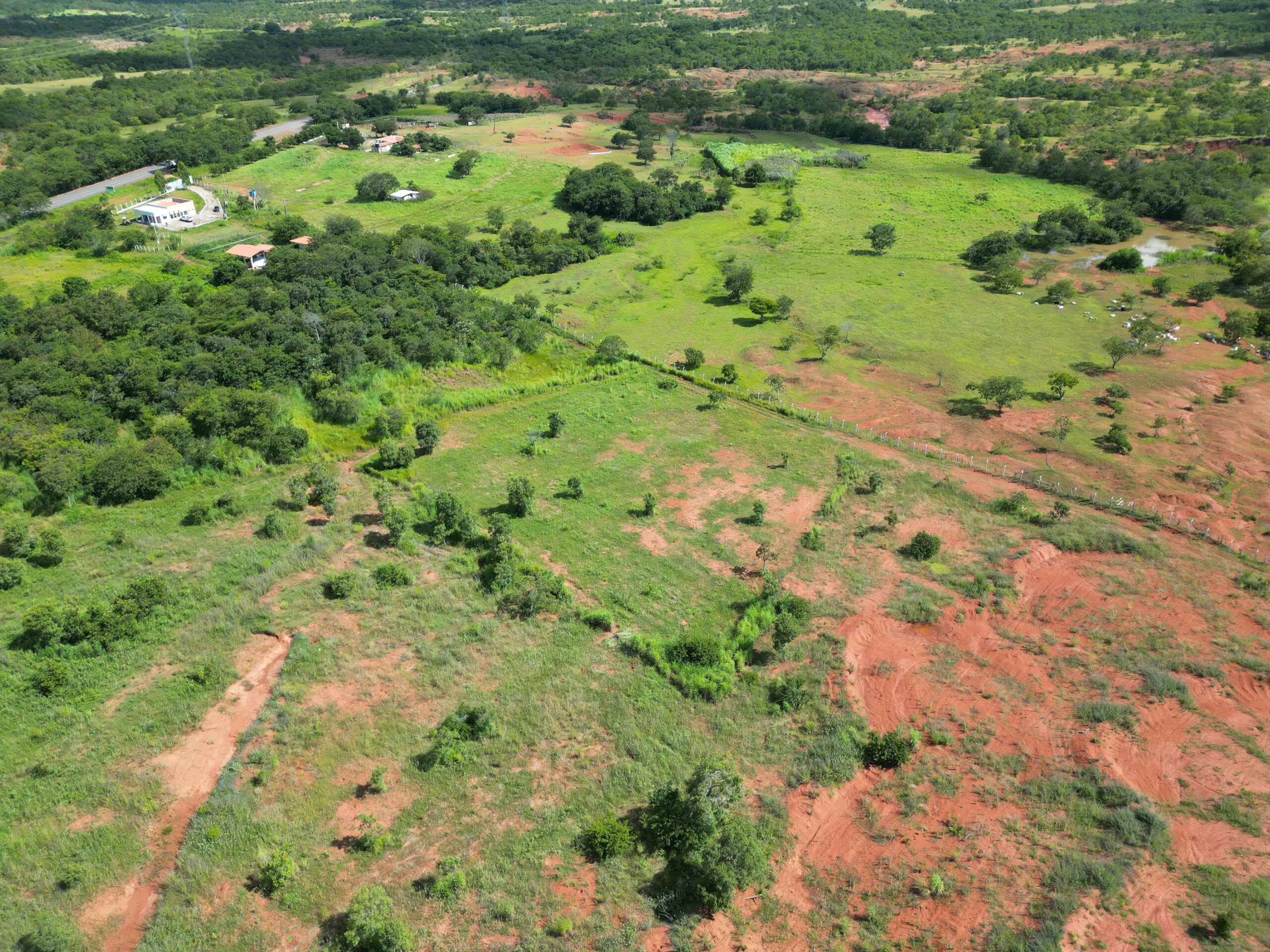 Foto: Reprodução/Secom Piauí