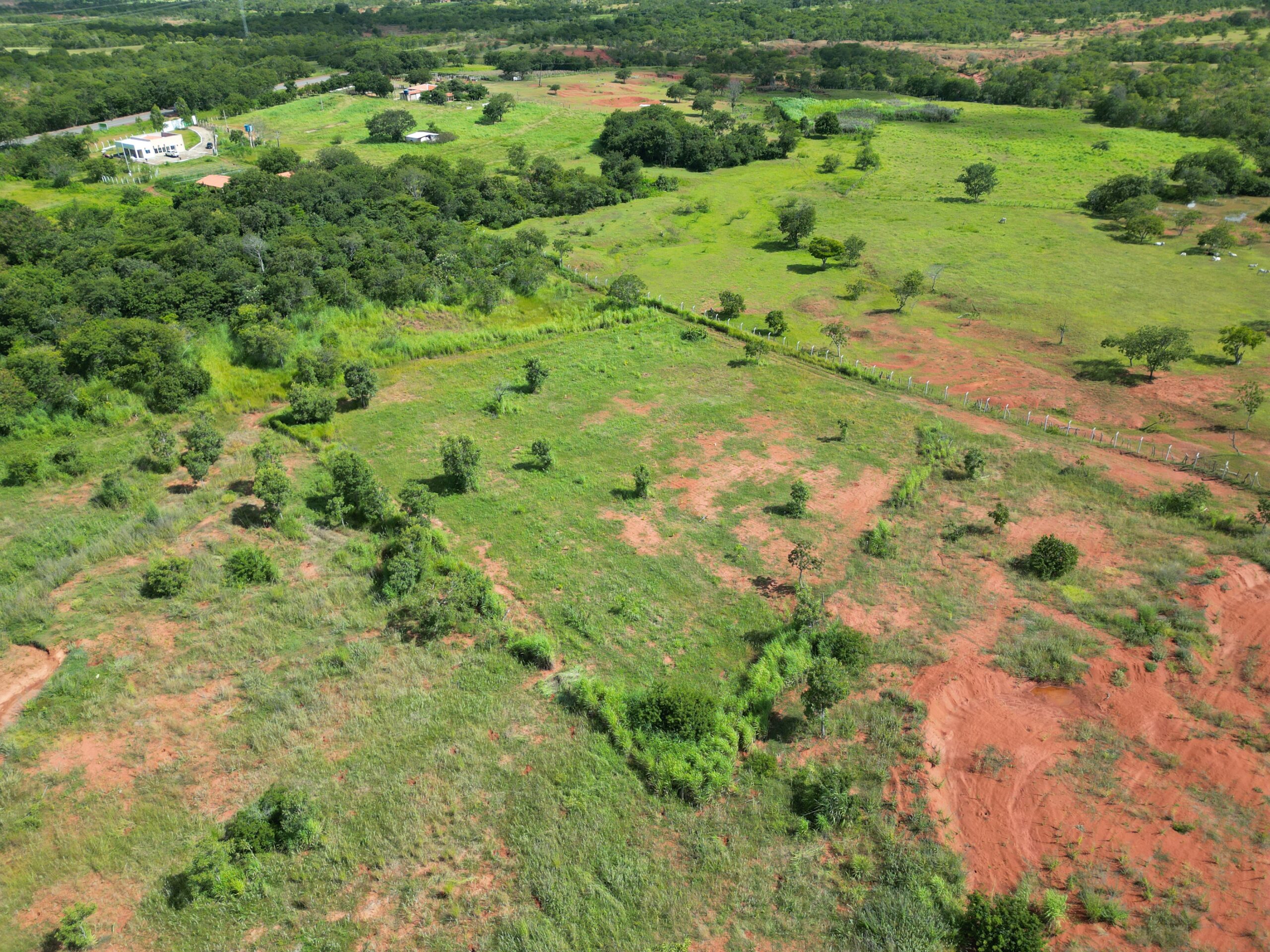Foto: Reprodução/Secom Piauí