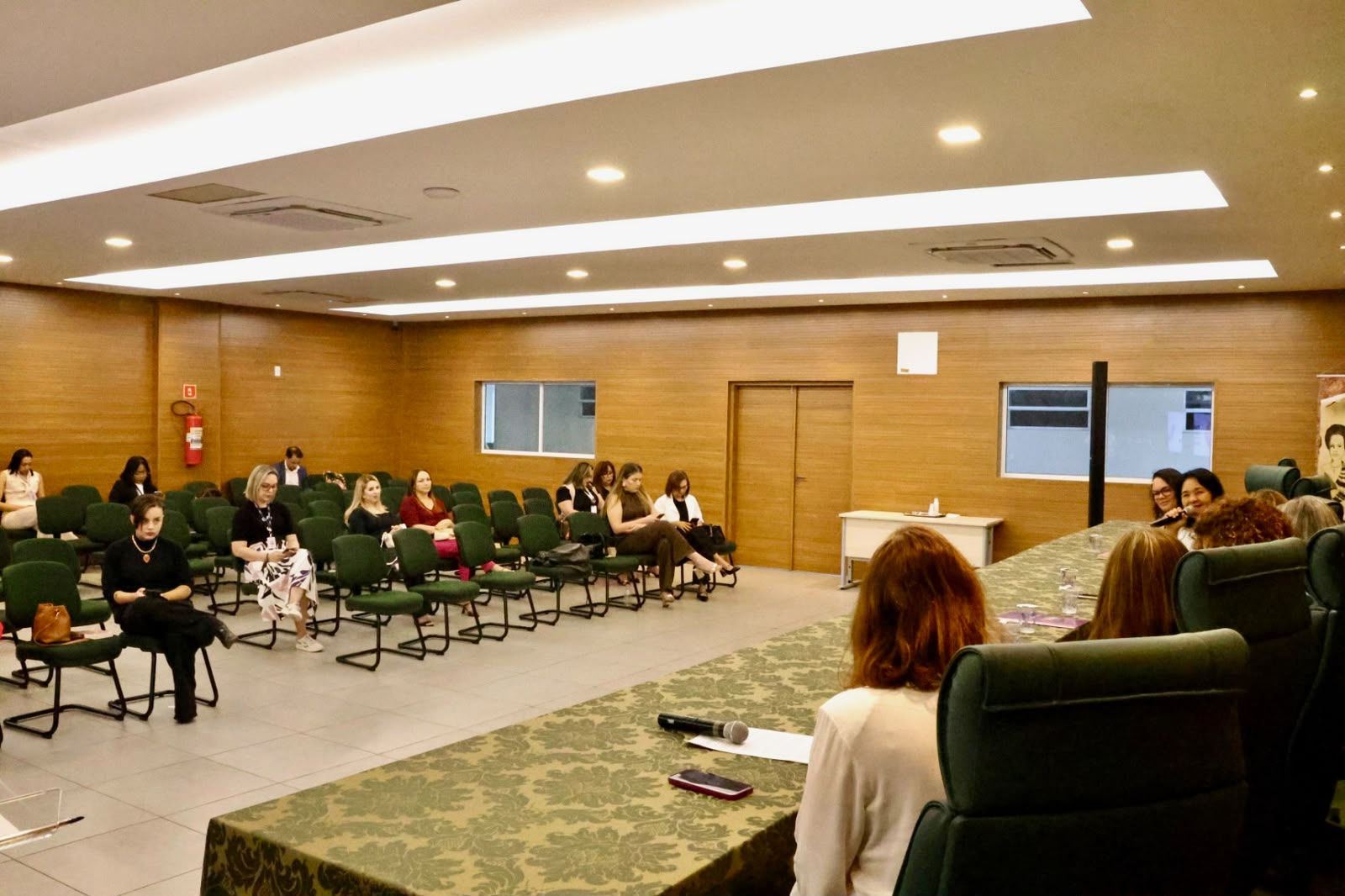 Foto: Reprodução/Secom Piauí