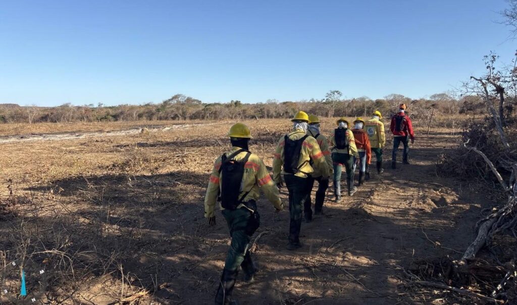 Piauí registra menor número de queimadas para setembro em 10 anos