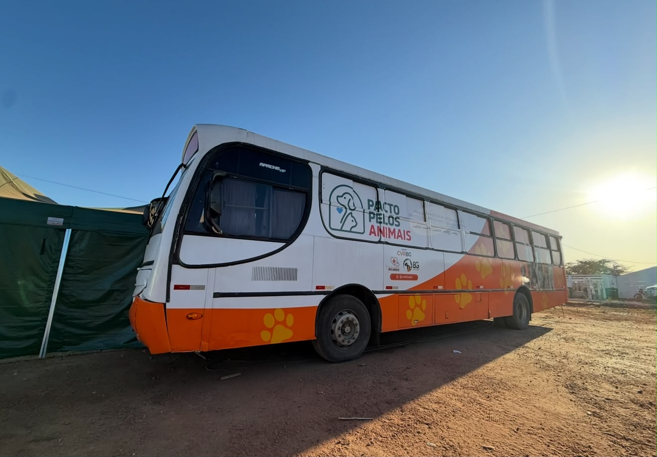 Busão da Castração volta a Teresina com duas unidades simultâneas a partir desta quarta (7)
