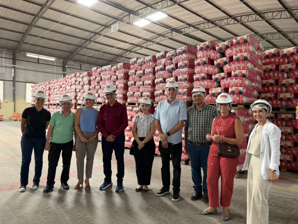 Foto: Reprodução/Secom Piauí
