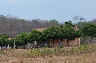 Foto: Reprodução/Secom Piauí