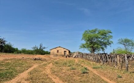Foto: Reprodução/Secom Piauí